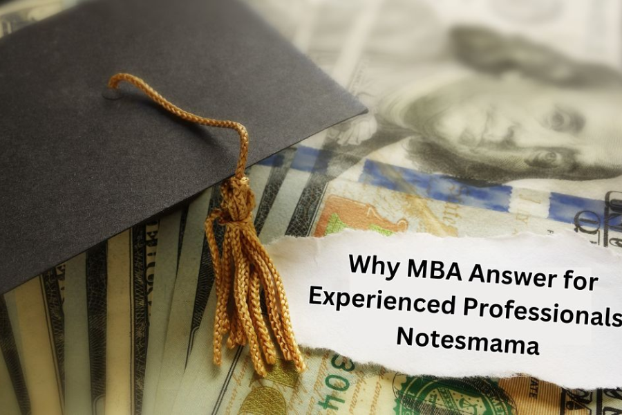 why mba answer for experienced professionals-notesmama